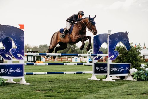 Horse-Jumping-Over-SandS-Jump 2025-Copy (1)