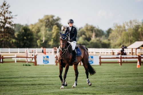 Horse-Walking-Photo (1)