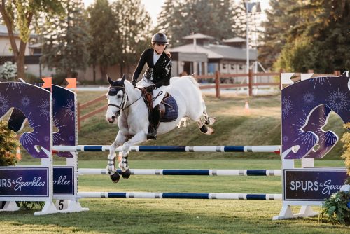Horse-jumping2-Copy (1)